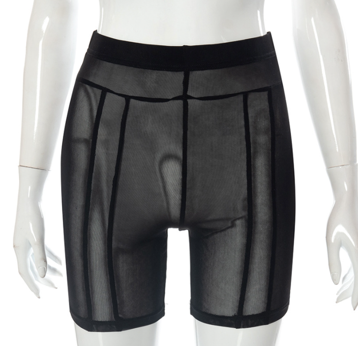 See Right Thru You Mesh Shorts